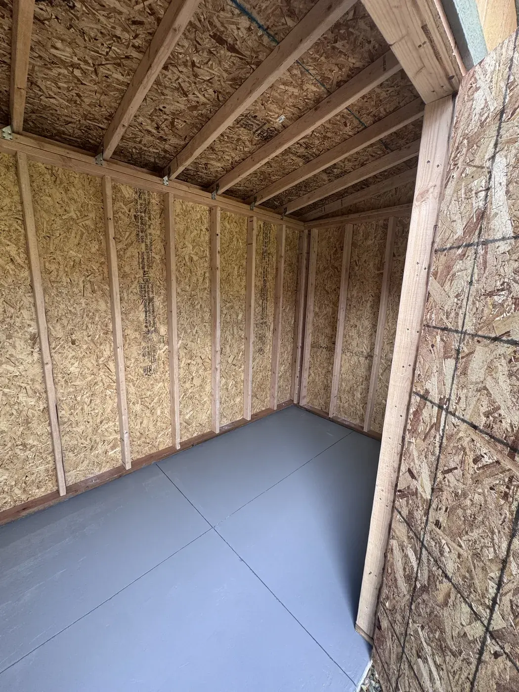 Interior of a ShedPro LLC shed showing the stud framing, roof rafters and a painted floor